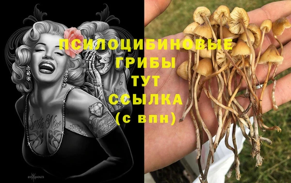 бошки Бугульма